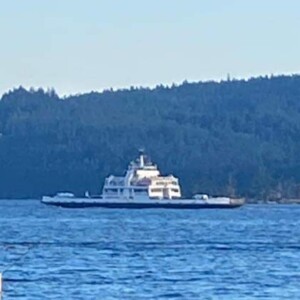 Profile photo of John Smith